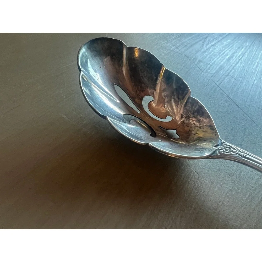 Wm Rogers Mfg Co Pierced Berry Spoon 6